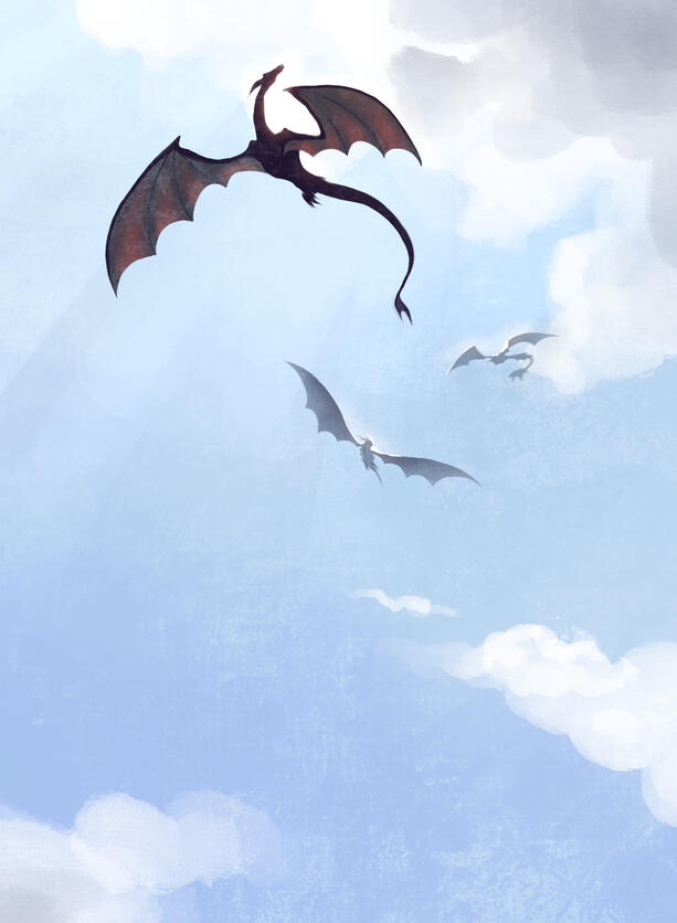 soaring the skies